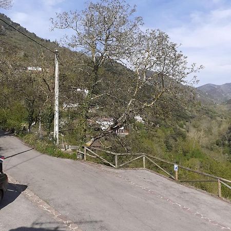 Aparatamento Rural El Oso 3 Pola de Somiedo Ngoại thất bức ảnh